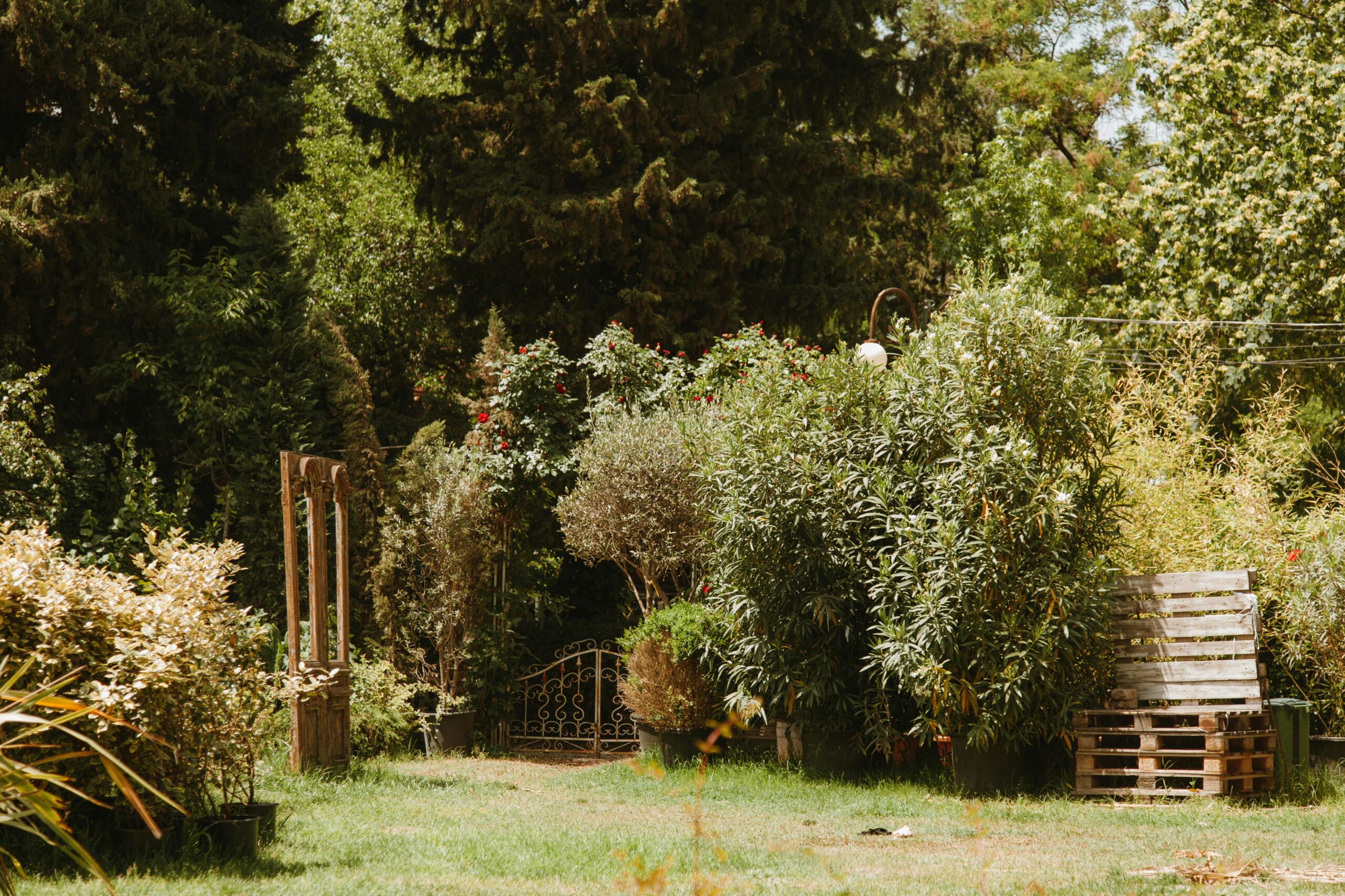 Neue Website der Gartenfreunde